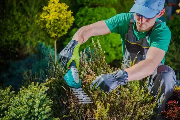 landscaping services Port Jervis